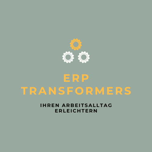 ERP Transformers Store